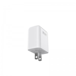 Fast Charging USB Hom C Celebrat C-N1 Txawb Xov Tooj Phab Ntsa Charger