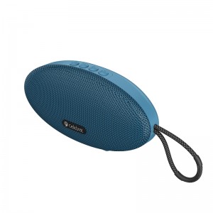 Celebrat SP-22 High-Performance Wireless Speaker, Zoo meej Kev Sib Txuas Ntawm Lub Suab Zoo Thiab Pom Kev Paub