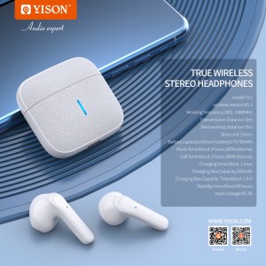 Celebrat T11 Exquisite thiab Simple, Compact thiab Lightweight, Leather Texture Design, Business-Style TWS Earphones