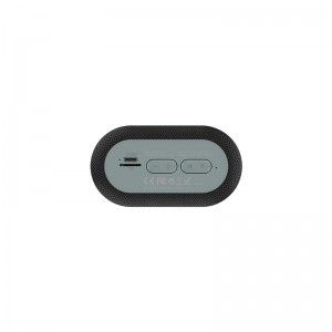 Yison hot selling small karaoke speaker with wireless microphone WS-8