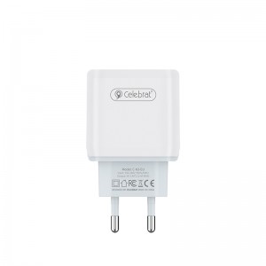 Dual Micro USB Charger 12W US Plug USB Cell Phone Charger Celebrat C-N3