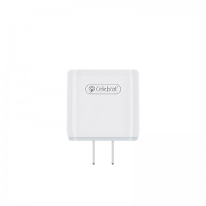 Dual Micro USB Charger 12W US Plug USB Cell Phone Charger 5V 2.4A Celebrat C-N3