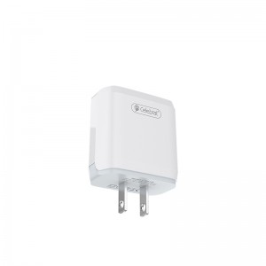 Dual Micro USB Charger 12W US Plug USB Cell Phone Charger 5V 2.4A Celebrat C-N3