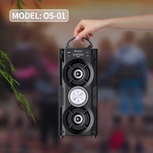Big Power Celebrat OS-01 with Hifi LED Colorful Flashing Light Bluetooth Speaker
