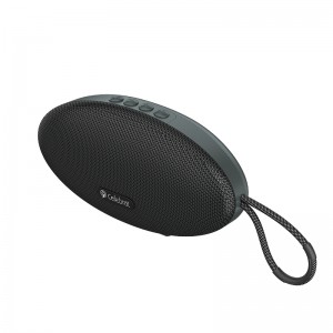 Celebrat SP-22 High-Performance Wireless Speaker, Perfect Combination Of Sound Quality And Visual Experience