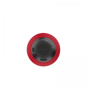WS-6 Yison New Arrival Outdoor Speaker Wireless Charger